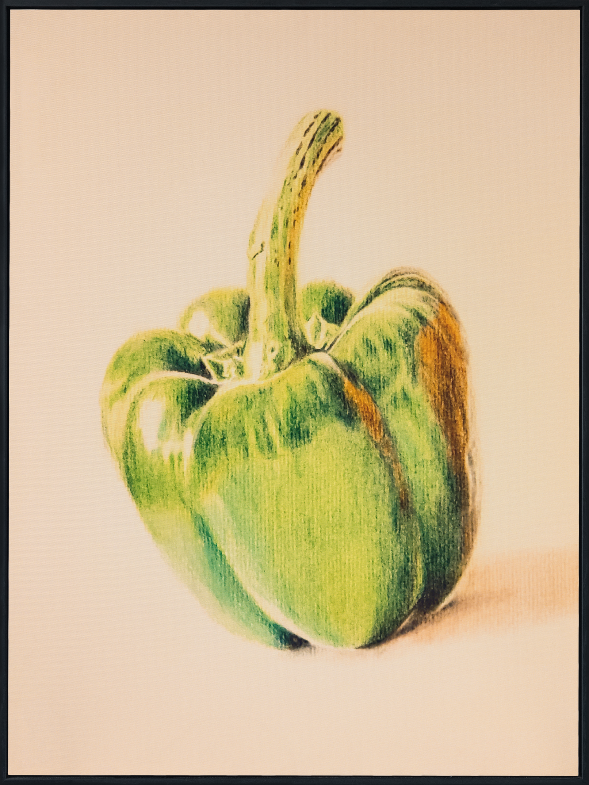 Gallery-GreenPepper